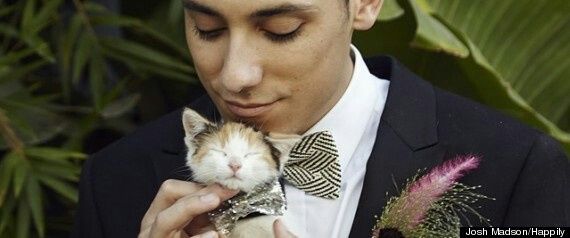 Première inspiration un mariage thème chat?? - 4