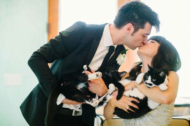Première inspiration un mariage thème chat?? - 5