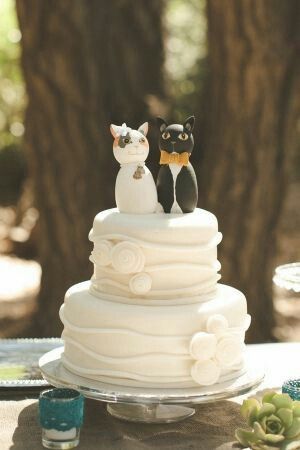 Première inspiration un mariage thème chat?? - 7