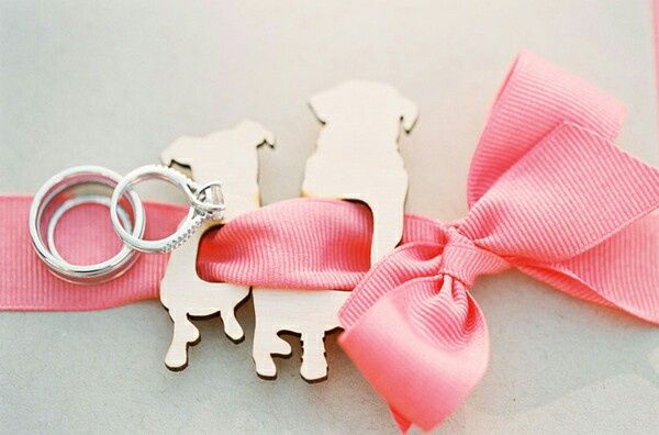 Première inspiration un mariage thème chien??? - 2