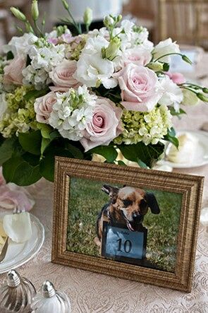Première inspiration un mariage thème chien??? - 3