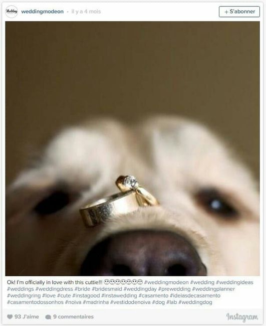 Première inspiration un mariage thème chien??? - 7