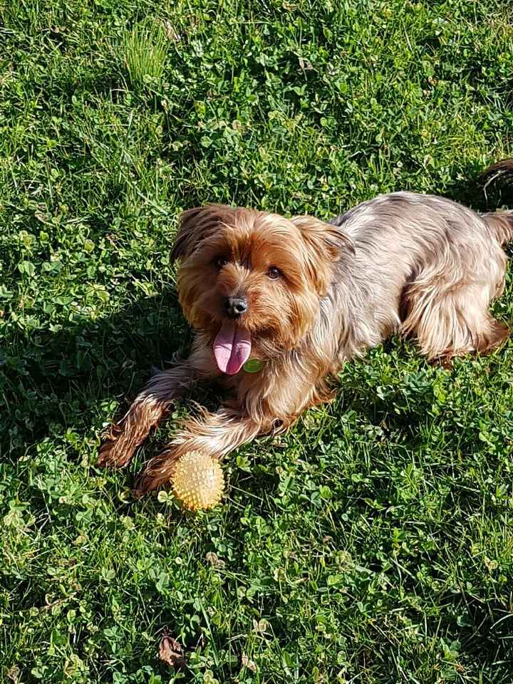 Aujourd'hui tout le monde participe... - 1