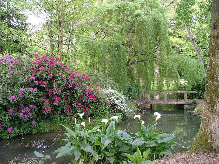 Où sont les gros budgets ? - 2