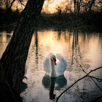 intérieur faire part