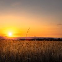 dos du coupon réponse