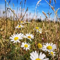 intérieur du coupon réponse 