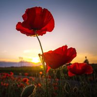 intérieure du coupon de réponse 