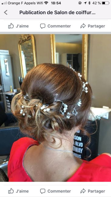 Montrez moi vos accessoires pour les cheveux - 1