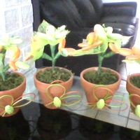 Mes dragées témoins et parents