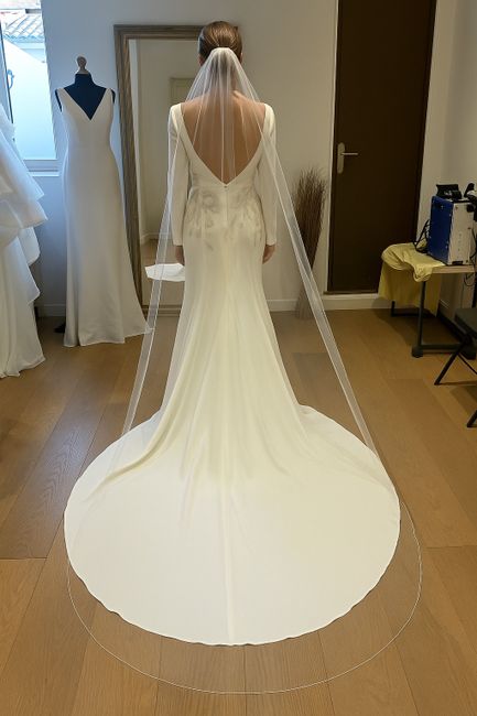 Voile ou bijou de dos? - 1