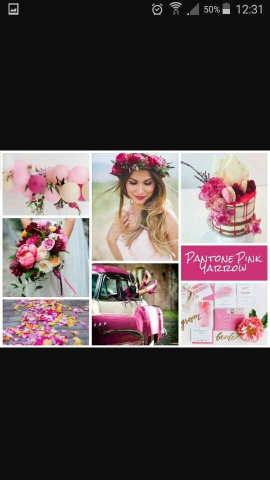 Inspiration pink yarrow - 7