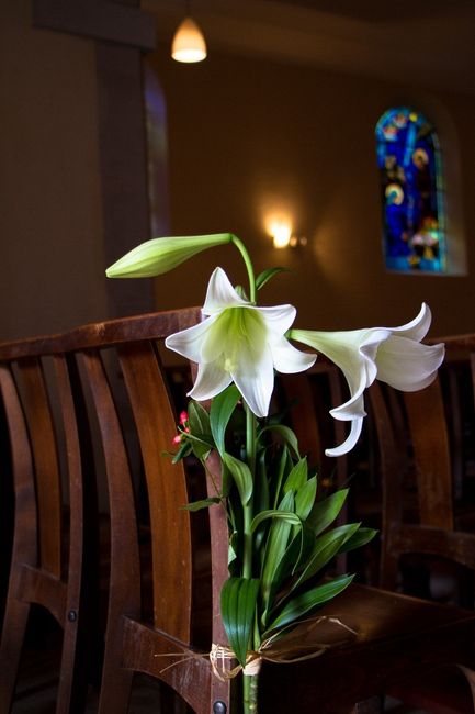 Nos fleurs pour l'eglise