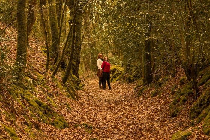 chemin 1