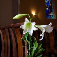 Nos fleurs pour l'eglise