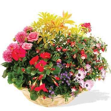 ................................