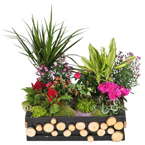 ................................