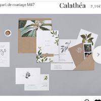 Nous nous marions le 30 Mai 2020 - Loir-et-cher - 2