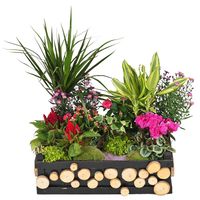 ................................