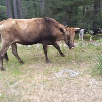 Petit week end post mariage... - 11