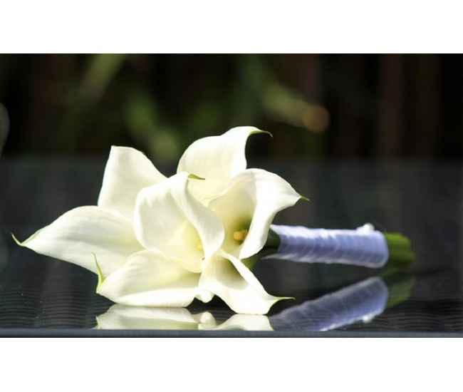 Les fleurs de notre mariage - 2