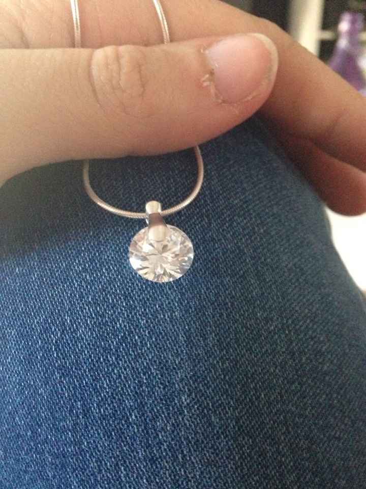 Pas de collier - 1