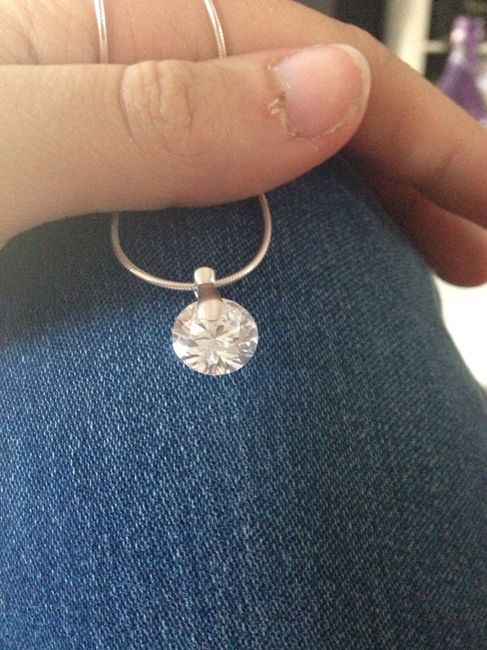 Pas de collier - 1