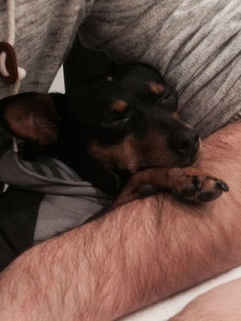 Mon bébé 😍🐶🐾