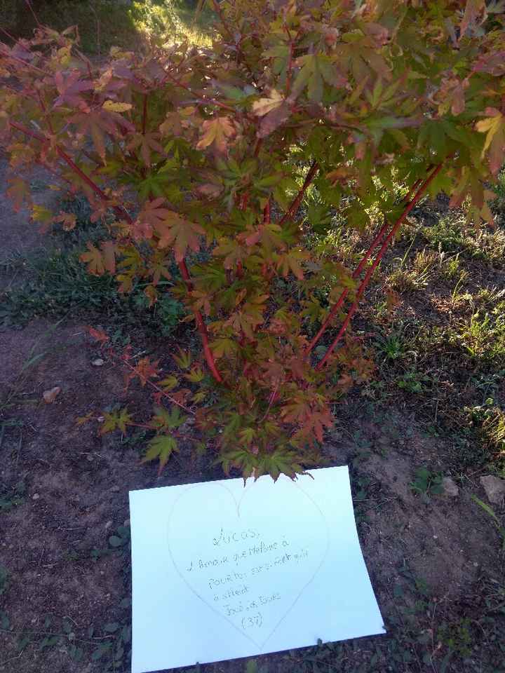 Aidez moi à faire mon Love Note svp il me manque pleins de départements - 3