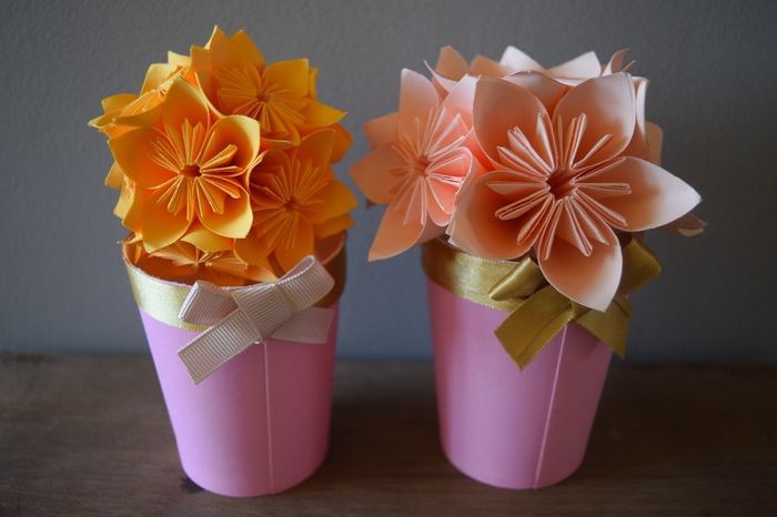 Petits pots avec des gobelets carton