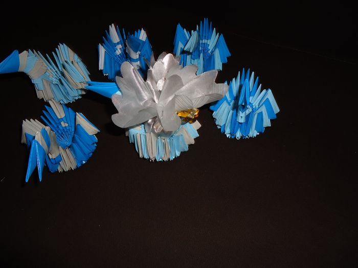 contenant dragés