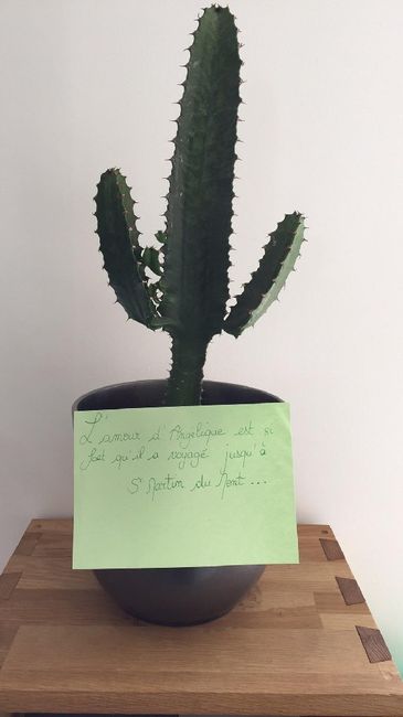 Besoin de vous pour le cadeau de Mr! 😀 - 4