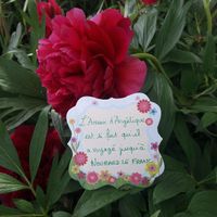 Besoin de vous pour le cadeau de Mr! 😀 - 3