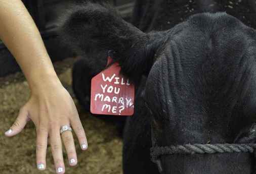Les pires demandes en mariage? - 3