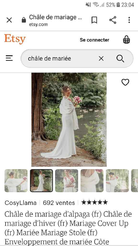 Annulation mariage été reporté pour l'hiver! - 1