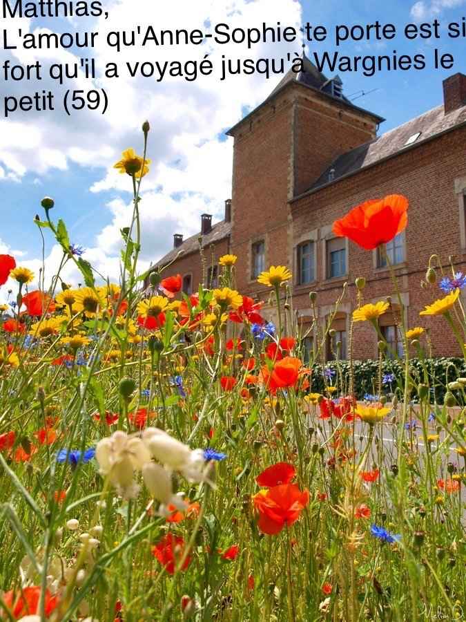 Love notes. La reprise mdr - 1