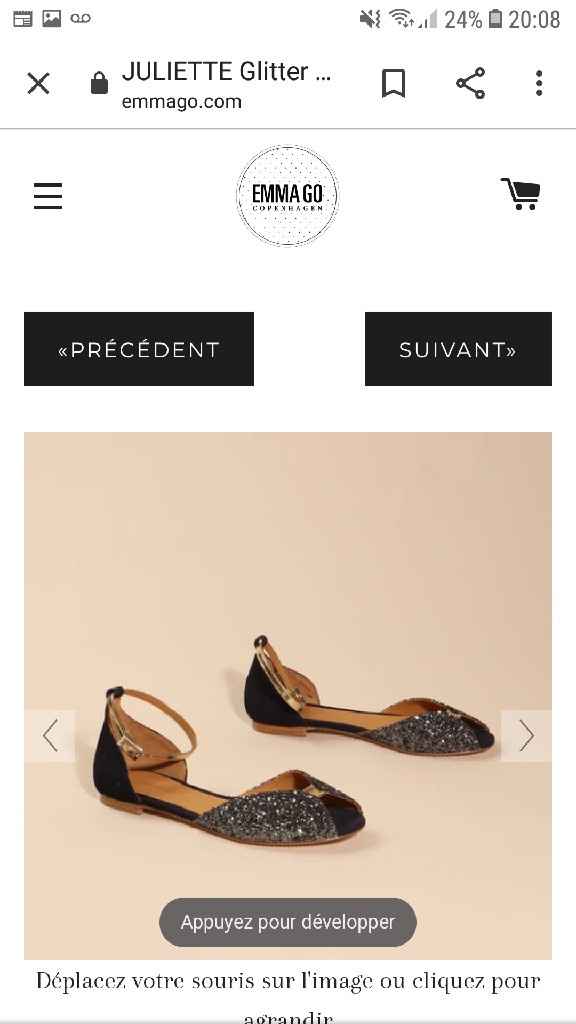Chaussure pour la soiree - 1