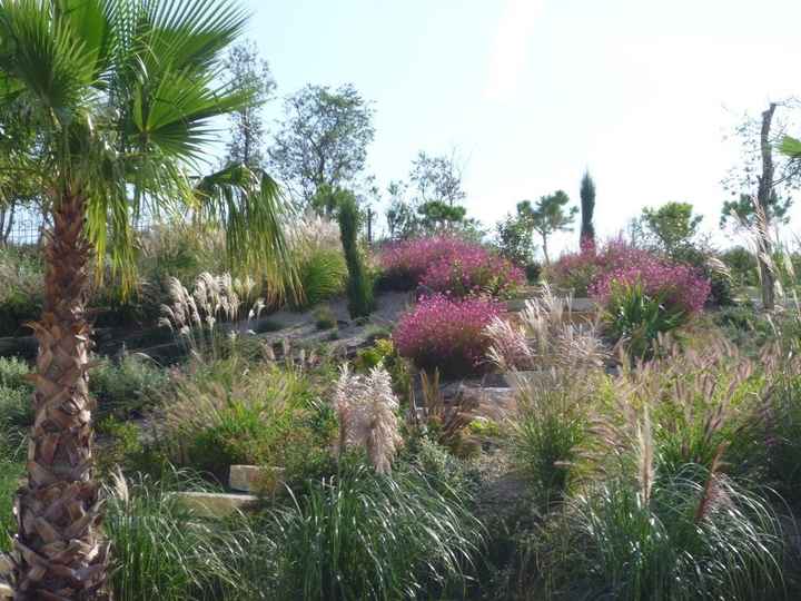 le jardin