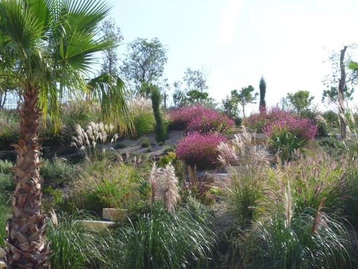 le jardin