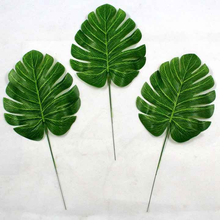 - Des grandes feuilles de palmier