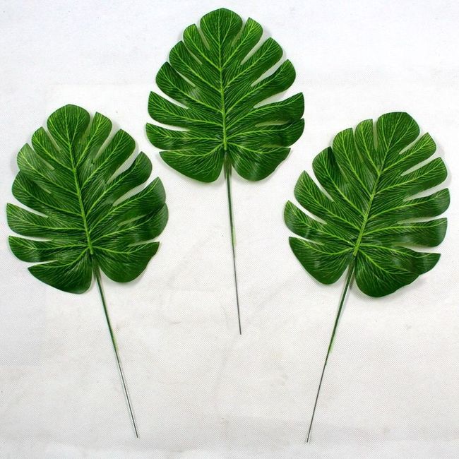 - Des grandes feuilles de palmier