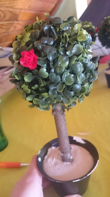 topiaire boule Alice au Pays des Merveilles roses peintes