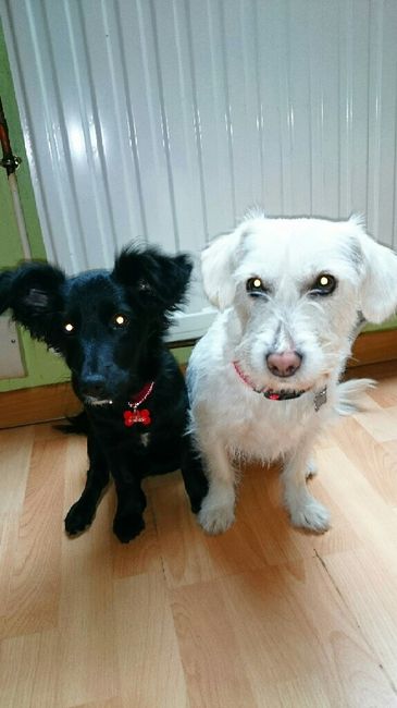 Nos amis les bêtes - 3