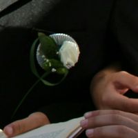 Weird wedding fair à lille (salon du mariage, un peu alternatif) - 2