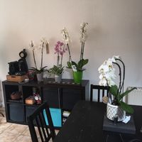 Maquillage du jour j fait soi-même - 1