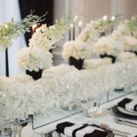 Déco blanc/doré /ardoise - 7