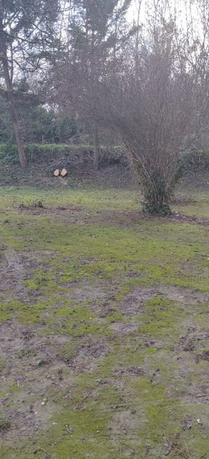 Arche naturel coupé 2