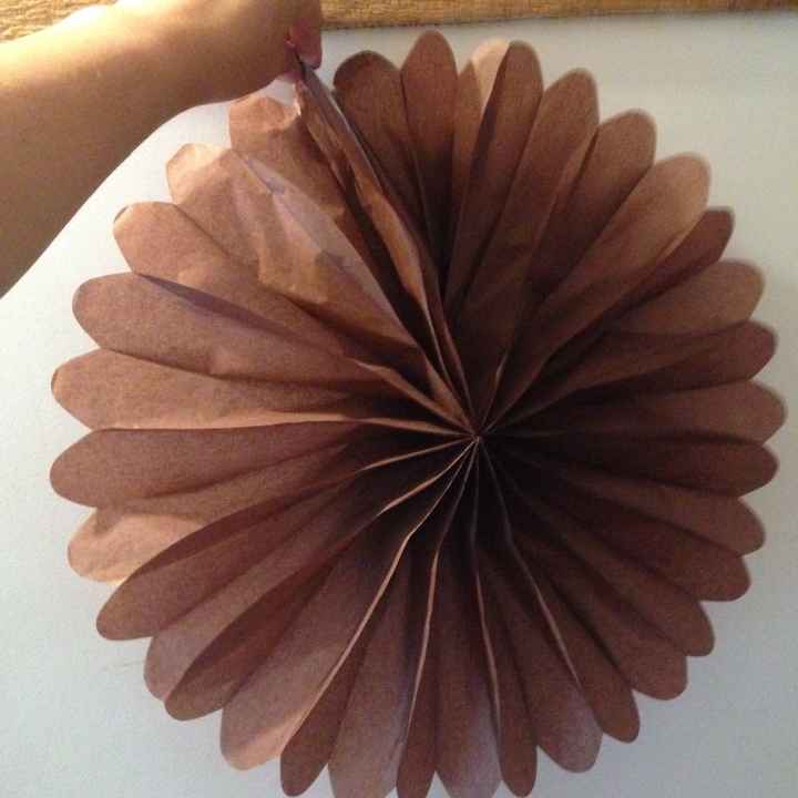Pompons marrons