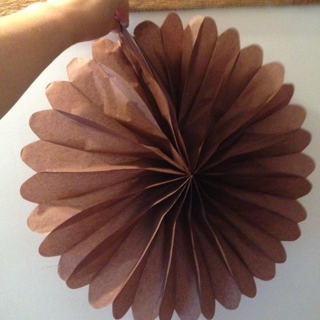 Pompons marrons
