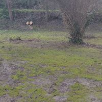 Arche naturel coupé - 2